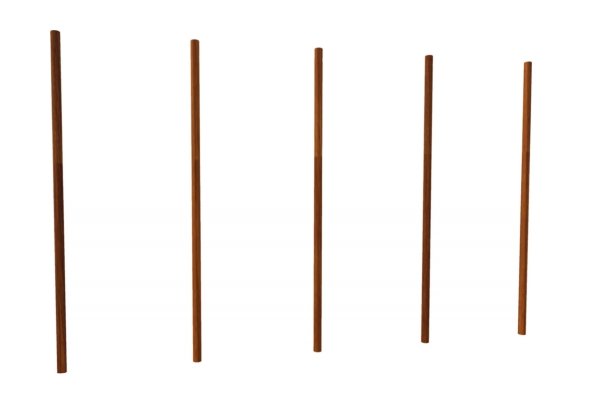 SLALOM